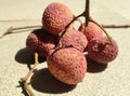 Lychee. Fresh lychees. Royalty Free Stock Photo
