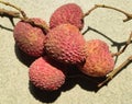 Lychee. Fresh lychees. Royalty Free Stock Photo