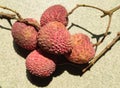 Lychee. Fresh lychees. Royalty Free Stock Photo