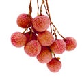 Lychee. Fresh lychees. Royalty Free Stock Photo