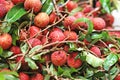 Lychee fruit Royalty Free Stock Photo