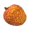 Lychee fruit close-up 3d rendering with realistic texture