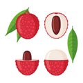 Lychee fruit icons set in flat style isolated on white background Royalty Free Stock Photo