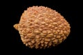 Lychee fruit isolated on a black background