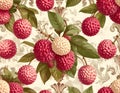 Lychee Fruit Pattern - Vintage Botanical Illustration with Textured Background Royalty Free Stock Photo