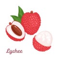 Lychee fruit set. Whole tropical fruit, half, peeled and green leaves Isolated on a white Royalty Free Stock Photo