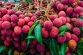 Lychee fruits