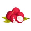 Lychee fruits.Exotic fruits, berries with leaves, half of lychee.