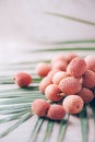 Lychee fruits with palm leaves on rattan background. Copy space. Exotic litchi, lichee fruits. Tropical food concept