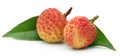 Lychee with green leaf