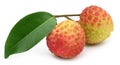 Lychee with green leaf