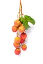 Lychee with leaves isolated on white background. Tropical fruit Royalty Free Stock Photo