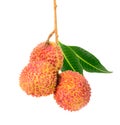 Lychee with leaves isolated on white background. Tropical fruit Royalty Free Stock Photo