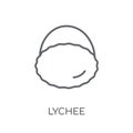 Lychee linear icon. Modern outline Lychee logo concept on white