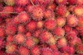Lychee litchi chinesis Royalty Free Stock Photo