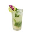 Lychee mojito cocktail, Classic cocktail, isolated on white background, with clipping path Royalty Free Stock Photo