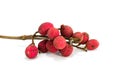 Lychee nuts Royalty Free Stock Photo