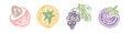 Lychee, persimmon, grapes and mangosteen. Fruit sketch set. Hand drawn vector illustration. Pen or marker doodle Royalty Free Stock Photo