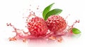 Lychee Splash: Fresh Fruit and Juice Explosion Royalty Free Stock Photo