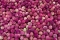 Lychees Royalty Free Stock Photo