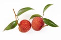 Lychees