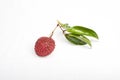 Lychees isolated on white background