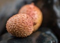 Lychees lie on dark stones. Selective focus