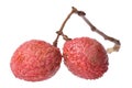 Lychees Macro