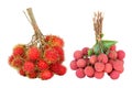 Lychees and rambutan isolated on white background Royalty Free Stock Photo