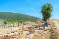 The lycian city Patara