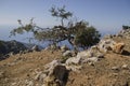 The Lycian trail in Turkey, in this vengeance the road passes near the cliff face,