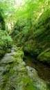 Lydford Gorge, Dartmoor Devon