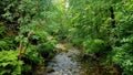 Lydford Gorge, Dartmoor Devon