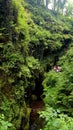 Lydford Gorge, Dartmoor Devon