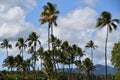 Lydgate Beach Park at Wailua n Kauai Island in Hawaii