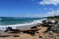 Lydgate Beach Park at Wailua n Kauai Island in Hawaii