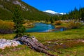 Lyell fork of Tuolumne river along Pacific Crest Trail, Yosemite Royalty Free Stock Photo