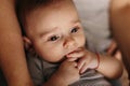 The lying baby in the hand of mother and father close-up. 4 months baby looking