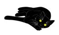 Lying black cat