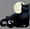 Lying Black Cat Against The Moon, The Inscription And Symbols