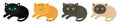 Lying cat icon set line. Siamese, red, black, orange, gray color cats in flat design style. Cute cartoon character. Different eyes Royalty Free Stock Photo