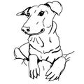 Lying dog, hand drawn vector illustration Royalty Free Stock Photo