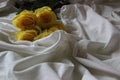 Lying flower on a bed with a sheetlying yellow rose on a bed with a sheet