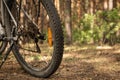 a lying hiking backpack lying next to a bicycle on the ground on a forest path in a coniferous thicket Royalty Free Stock Photo