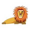 Lying lion in cartoon style on an isolated white background