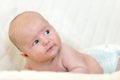 Lying newborn baby raises his head Royalty Free Stock Photo