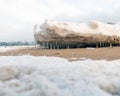 lying pieces of ice on the seashore, icicles of different sizes, textures of sand and ice in the dunes Royalty Free Stock Photo