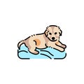 Lying puppy on pillow color line icon. Pictogram for web page