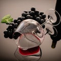 Lying vineglass with red grapevine Royalty Free Stock Photo