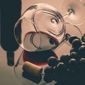 Lying vineglass with red grapevine Royalty Free Stock Photo